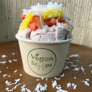   at Vegan Scoops in Kissimmee