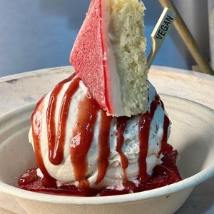   at Vegan Scoops in Kissimmee