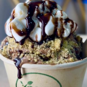   at Vegan Scoops in Kissimmee