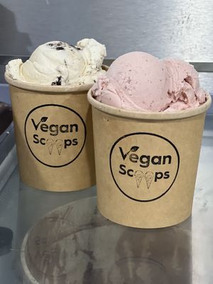   at Vegan Scoops in Kissimmee