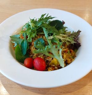 Organic Fried Rice at Real Food 真食 - Orchard in Central Singapore