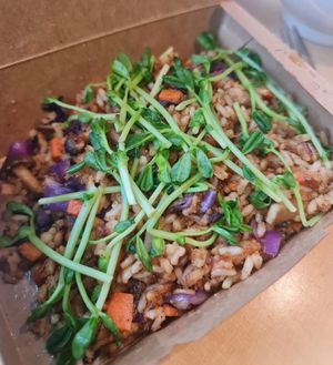 Organic ‘Belachan’ Fried Rice ~ 19/3/23 at Real Food 真食 - Orchard in Central Singapore