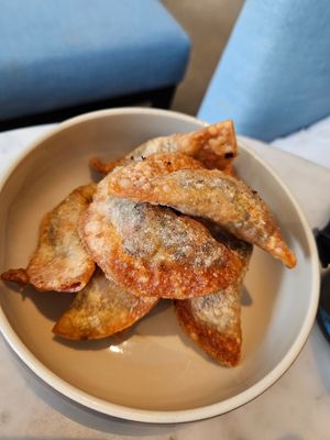 Fried Dumplings ~ 11/5/24 at Real Food 真食 - Orchard in Central Singapore