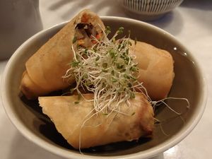 spring rolls (2 pieces) at Real Food 真食 - Orchard in Central Singapore