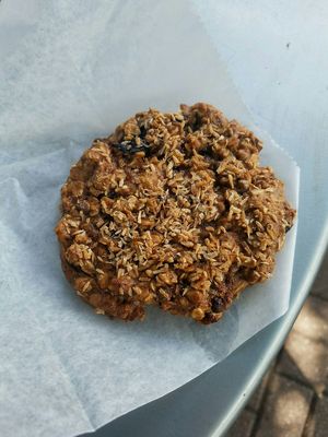 Berry Oat Cookie at Four Seasons Natural Foods Cafe in Saratoga Springs