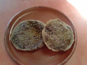 gluten free toast and butter at Julia's Kitchen in Boulder