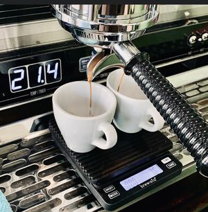  at Green Wall Coffee in Berlin