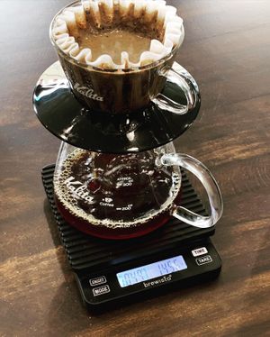  at Green Wall Coffee in Berlin