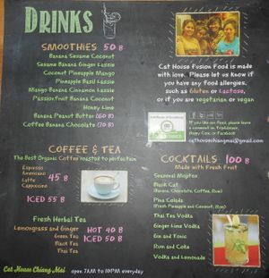 Cat House  at Cat House in Chiang Mai