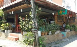 street front 1 at Cat House in Chiang Mai