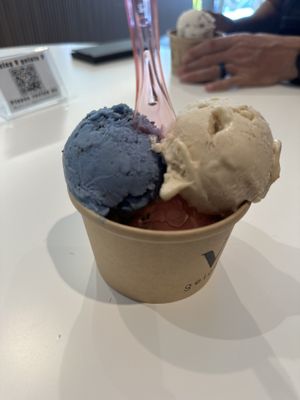   at V Gelato in Miami