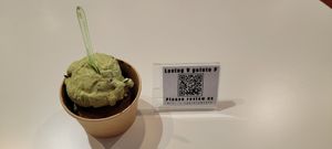 Mint Choc & Choc Fudge at V Gelato in Miami