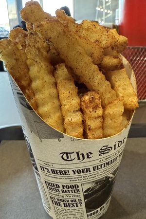 Seasoned fries  at UNiQ Burger in Scottsdale