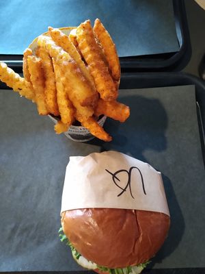 Cajun fries and burger at UNiQ Burger in Scottsdale