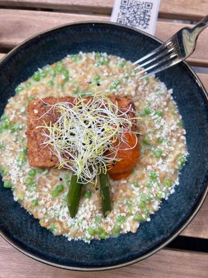   at Verdō in Brussels