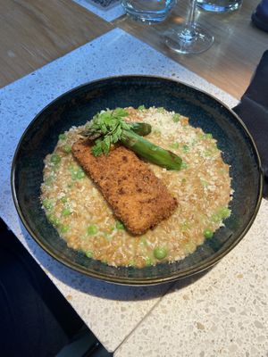   at Verdō in Brussels