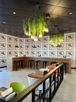   at ChagaRoot in Las Vegas