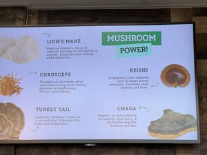 Part2  at ChagaRoot in Las Vegas