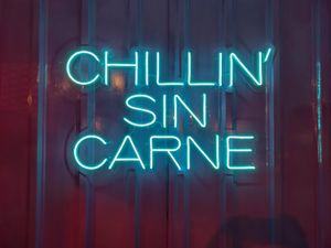 Totally at Vegano O No in Panama City