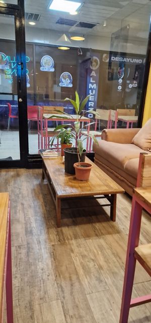 Interior2 at Vegano O No in Panama City