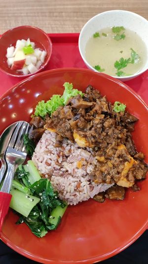 Vegan Mushroom Sauce w/ Tofu Brown Rice Set 👍 at Yi Su Pin 一素品 - Chinatown in Central Singapore