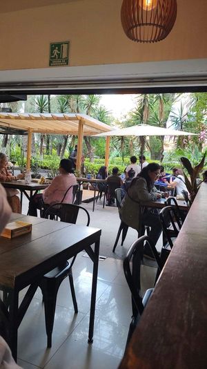   at Vegan Ramen Mei - Condesa in Mexico City