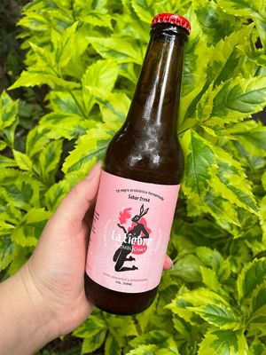   at Vegan Ramen Mei - Condesa in Mexico City