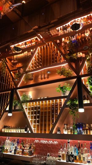 Beautiful bar   at Planta Queen in Chicago