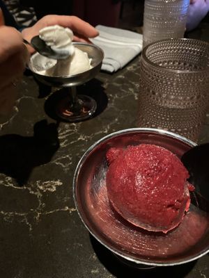 plum cardamom sorbet!  at Planta Queen in Chicago
