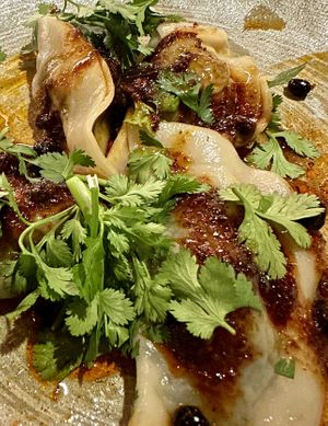 Dumplings   at Planta Queen in Chicago