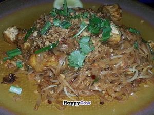 vegan pad Thai at Thai Terrace in Tampa