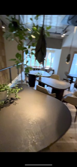   at Cafe Tarot - カフェタロ in Tokyo