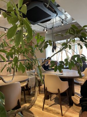   at Cafe Tarot - カフェタロ in Tokyo