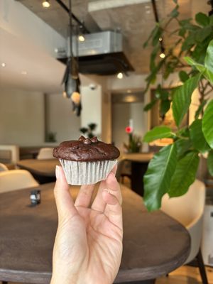 Double chocolate muffin   at Cafe Tarot - カフェタロ in Tokyo