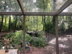   at Feathery Forest in Maarkedal