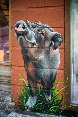  at Feathery Forest in Maarkedal