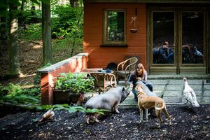  at Feathery Forest in Maarkedal