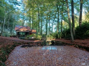  at Feathery Forest in Maarkedal