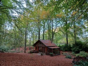  at Feathery Forest in Maarkedal