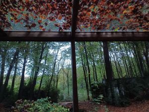  at Feathery Forest in Maarkedal