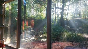 Gorgeous view from the cabin with large windows everywhere at Feathery Forest in Maarkedal