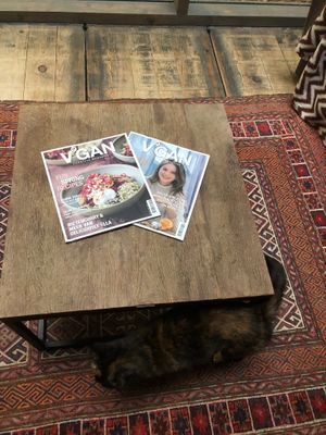  at Feathery Forest in Maarkedal