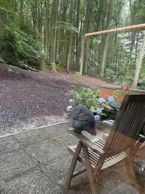   at Feathery Forest in Maarkedal