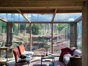 View from the living at Feathery Forest in Maarkedal