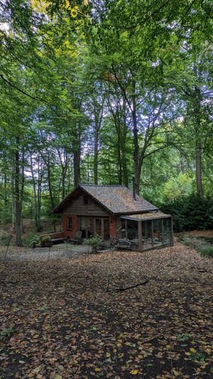  at Feathery Forest in Maarkedal