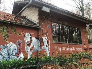   at Feathery Forest in Maarkedal