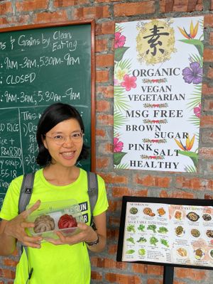 Organic bao - black sesame and beetroot at Botanique Vegetarian Private Kitchen in Petaling Jaya