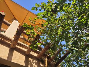  at Pikala Cafe in Marrakech