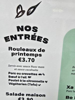 Vegetarian spring rolls at BÁNH MÌ VIÊT in Rennes