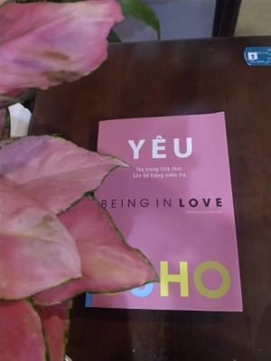  at Genkan Vegan Cafe in Dong Hoi